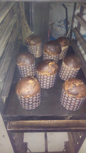 Comentarii opinii despre Éxodo