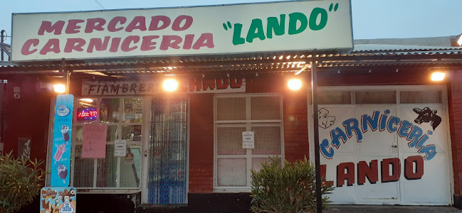 Mercado Lando