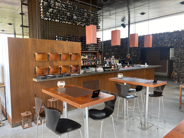 Comentarii opinii despre Deriva