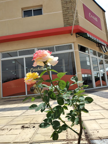 Heladeria Cecchetto | Rotiseria Mc Robert' s