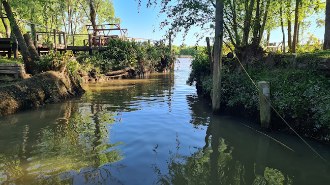 Montevideo 211, E3100 Paraná, Entre Ríos