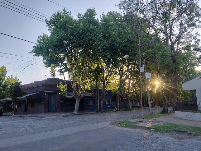 Comentarii opinii despre El Almacén Bar