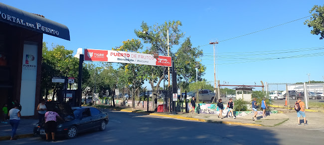 Comentarii opinii despre Organica Elementos