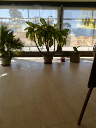 Comentarii opinii despre Panaderia La Internacional