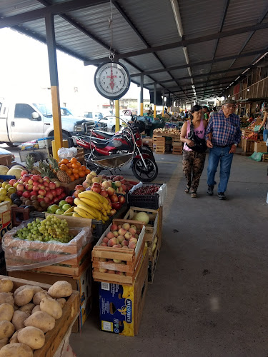 Mercado de Abasto - Gastronomía y hostelería