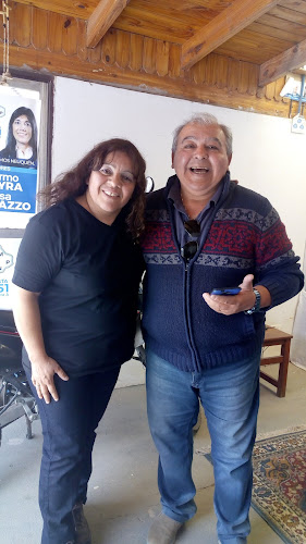 Comentarii opinii despre Andino