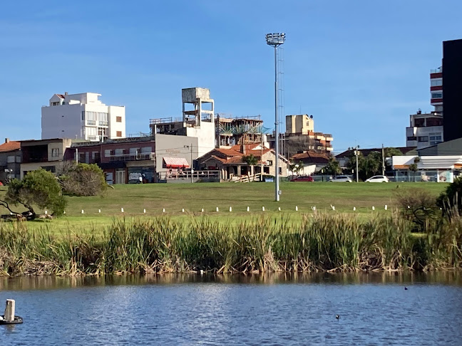 Comentarii opinii despre Adorado Cafe & Bar