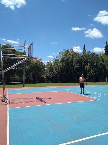 BEERFACE PILAR - Pilar