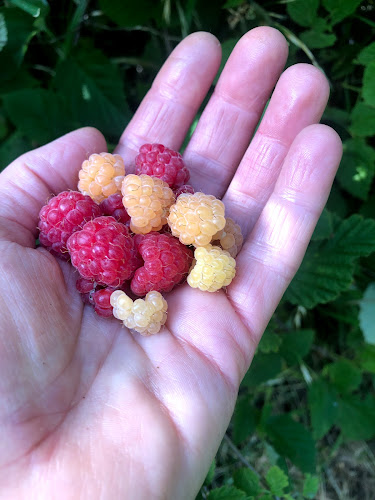 Comentarii opinii despre Casa Cassis Restaurant & Boutique de Cocina