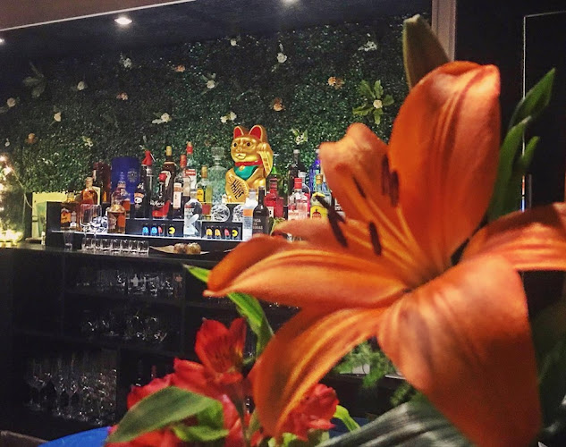 Nómades Sushi Bar & Restaurante Gourmet - Posadas