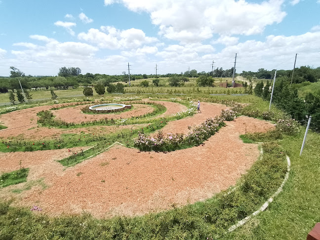 Flora- Vivero y Casa de Té - Gastronomía y hostelería