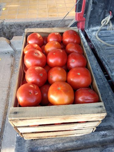 300, J5400FGF, Patricias Sanjuaninas Nte. 202, J5400FGF San Juan