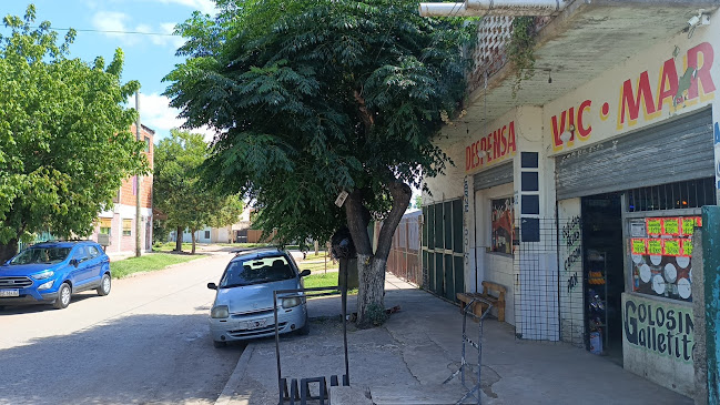 Comentarii opinii despre Despensa VIC.MAR