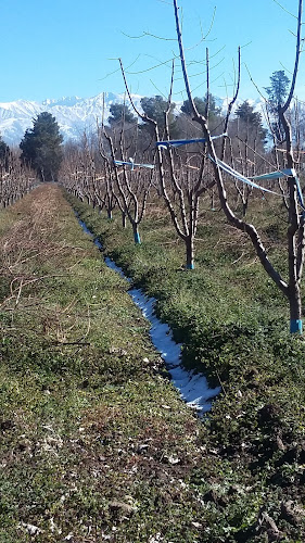 Finca La Promesa - Gastronomía y hostelería