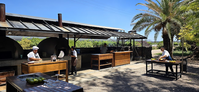 Pan y Oliva de Zuelo. - Maipú