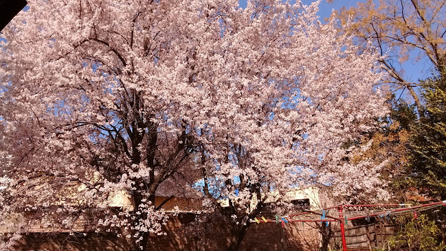 LA ABUELA NANA - Gastronomía y hostelería