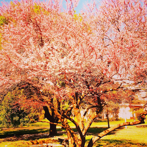 Friends Necochea - Necochea