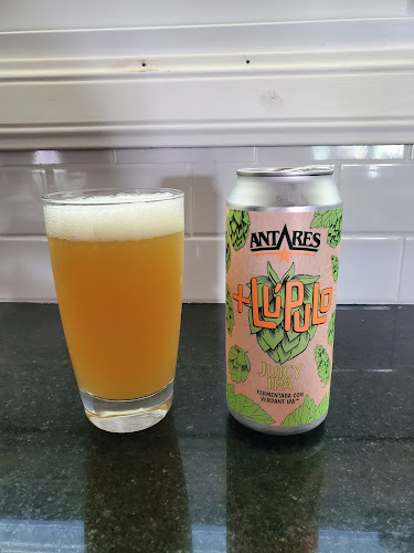 Antares MDQ - Olavarría - Gastronomía y hostelería