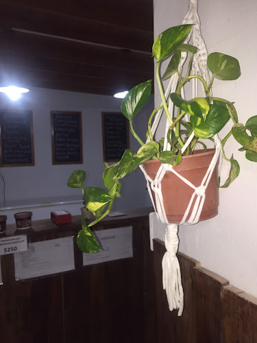 506 y 519, B6608 Mercedes, Provincia de Buenos Aires