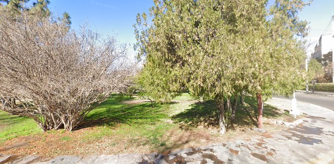 Despensa y Verduleria Dario