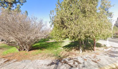 Despensa y Verduleria Dario