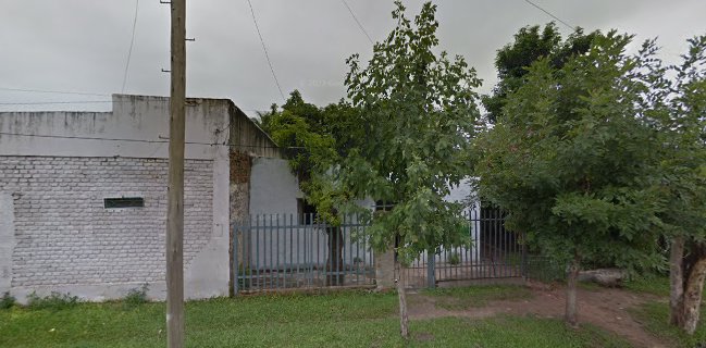 HELADOS PALITO PINGÜII