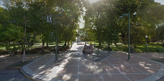 Zinerva dulzuras veganas