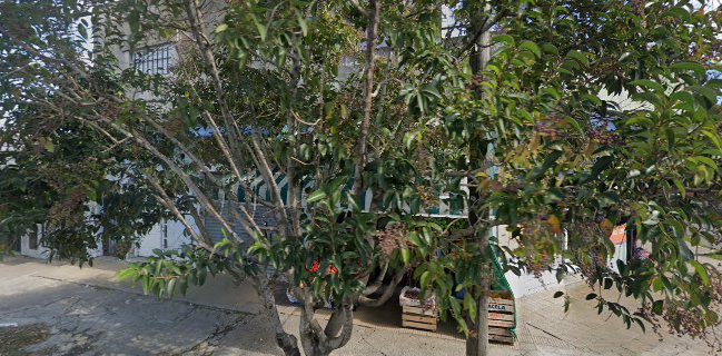 Panaderia Mirta Facturas Par Galletitas