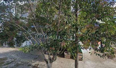 Panaderia Mirta Facturas Par Galletitas