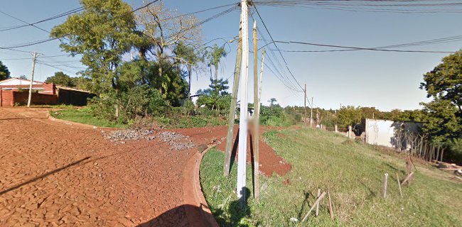 POLLOS MAXYFRANCO II (BONNIN Hnos.)