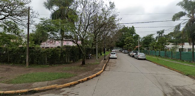 Panaderia y Confiteria la Flecha