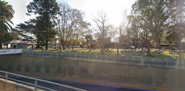 Pizzería Internacional