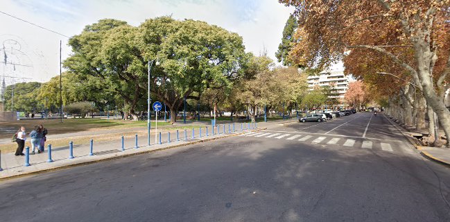 Comidas rapidas mi lady