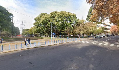 Comidas rapidas mi lady