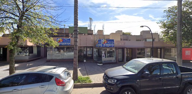 Heladeria Pingüino