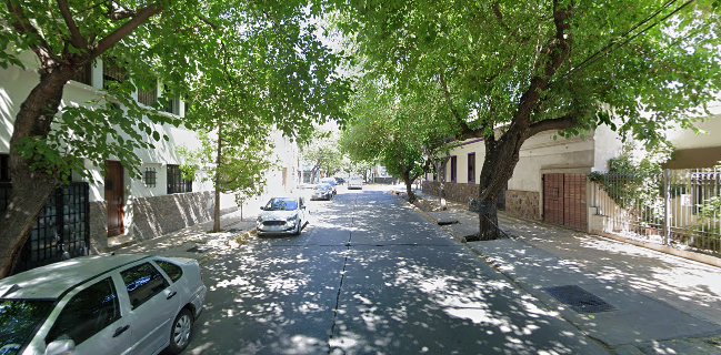 Banana Rana Rock Bar