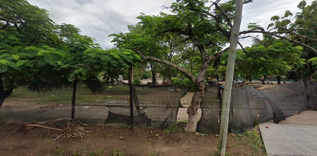 El Profe Hamburguesas