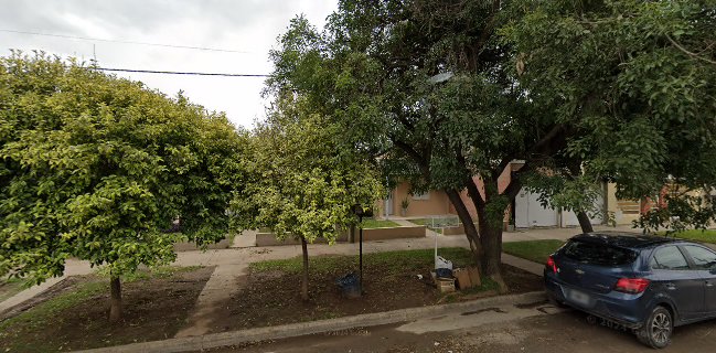 Vibra Almacén natural