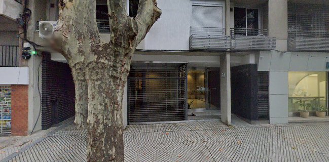 Unique Helados Bistró