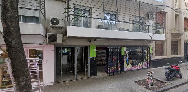 PRIMERA CALIDAD DISTRIBUIDORA MAYORISTA DE FRUTAS Y VERDURAS