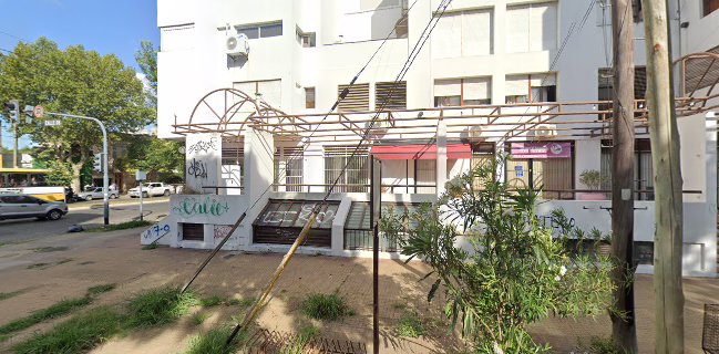 Silvia Díaz Chocolatier