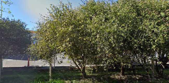 PUNTO DE ENCUENTRO DOS