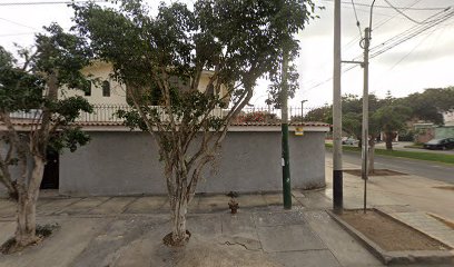 CERVECERÍA KING LEÓN