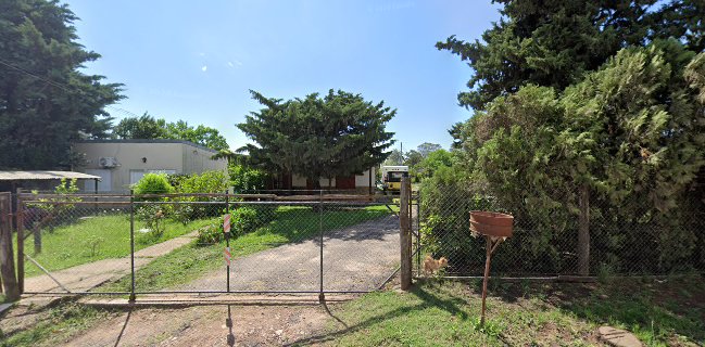 Piacere panaderia de masa madre