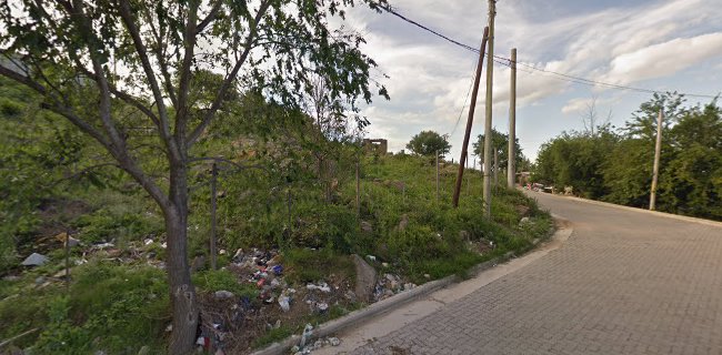 Supermercado Festival