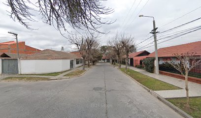 MT Servicios Rurales Y Forestales