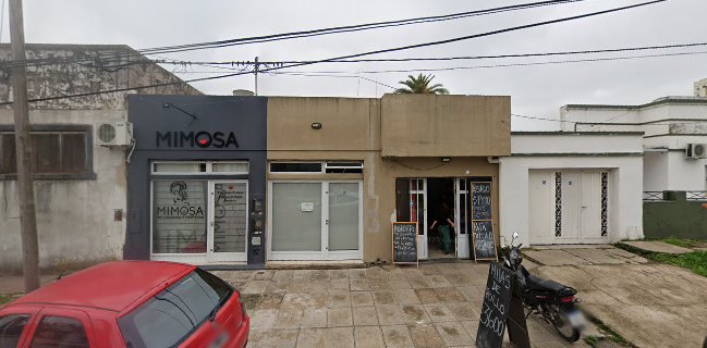 panaderia nueva Concepción II