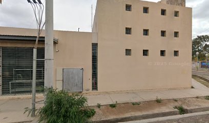 Popocho Delivery Paseo Oeste